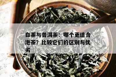 白茶与普洱茶：哪个更适合泡茶？比较它们的区别与优劣