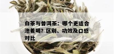 白茶与普洱茶：哪个更适合泡着喝？区别、功效及口感对比