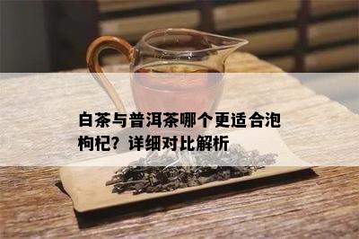白茶与普洱茶哪个更适合泡枸杞？详细对比解析
