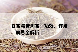 白茶与普洱茶：功效、作用、禁忌全解析