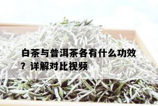 白茶与普洱茶各有什么功效？详解对比视频