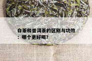 白茶和普洱茶的区别与功效：哪个更好喝？