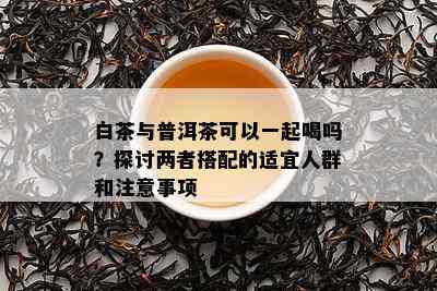 白茶与普洱茶可以一起喝吗？探讨两者搭配的适宜人群和注意事项