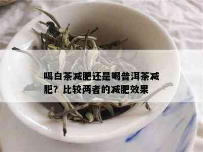 喝白茶减肥还是喝普洱茶减肥？比较两者的减肥效果