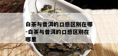 白茶与普洱的口感区别在哪-白茶与普洱的口感区别在哪里