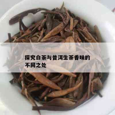 探究白茶与普洱生茶香味的不同之处