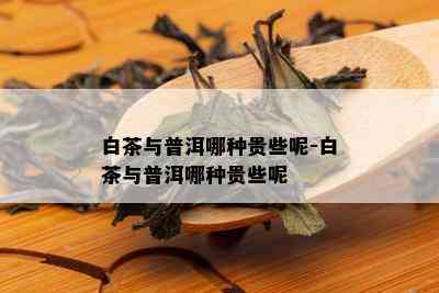 白茶与普洱哪种贵些呢-白茶与普洱哪种贵些呢