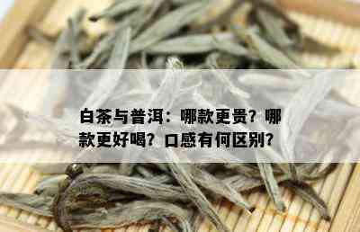 白茶与普洱：哪款更贵？哪款更好喝？口感有何区别？