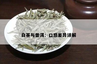 白茶与普洱：口感差异详解