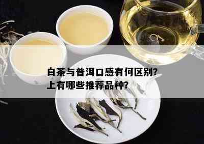 白茶与普洱口感有何区别？上有哪些推荐品种？