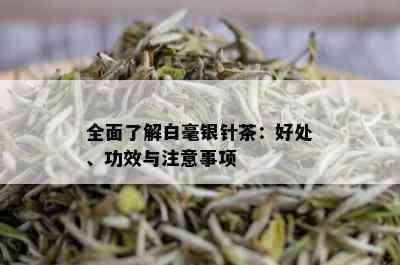 全面了解白毫银针茶：好处、功效与注意事项