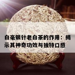 白毫银针老白茶的作用：揭示其神奇功效与独特口感