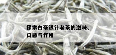 探索白毫银针老茶的滋味、口感与作用