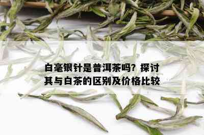 白毫银针是普洱茶吗？探讨其与白茶的区别及价格比较