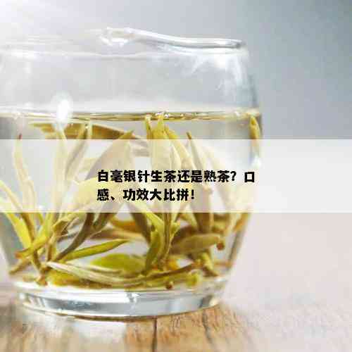 白毫银针生茶还是熟茶？口感、功效大比拼！