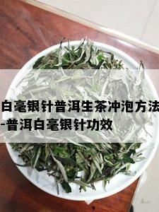 白毫银针普洱生茶冲泡方法-普洱白毫银针功效