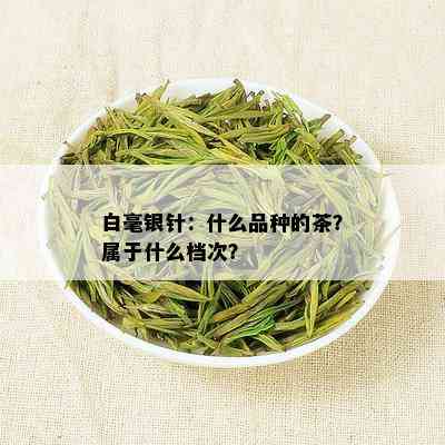 白毫银针：什么品种的茶？属于什么档次？