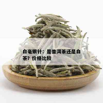 白毫银针：是普洱茶还是白茶？价格比较