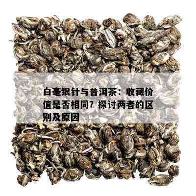 白毫银针与普洱茶：收藏价值是否相同？探讨两者的区别及原因