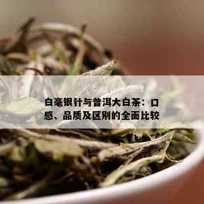 白毫银针与普洱大白茶：口感、品质及区别的全面比较