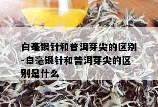 白毫银针和普洱芽尖的区别-白毫银针和普洱芽尖的区别是什么