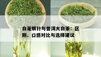 白毫银针与普洱大白茶：区别、口感对比与选择建议