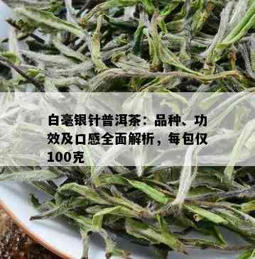 白毫银针普洱茶：品种、功效及口感全面解析，每包仅100克