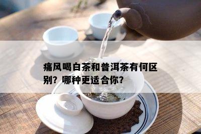 痛风喝白茶和普洱茶有何区别？哪种更适合你？
