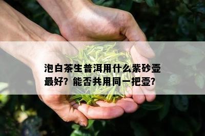 泡白茶生普洱用什么紫砂壶更好？能否共用同一把壶？