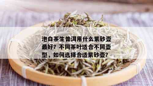 泡白茶生普洱用什么紫砂壶更好？不同茶叶适合不同壶型，如何选择合适紫砂壶？