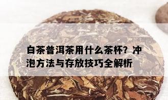 白茶普洱茶用什么茶杯？冲泡方法与存放技巧全解析