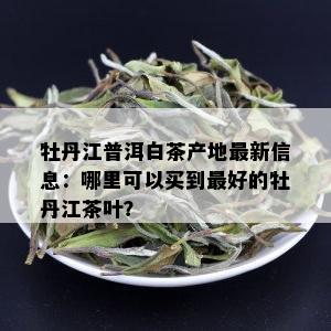 牡丹江普洱白茶产地最新信息：哪里可以买到更好的牡丹江茶叶？