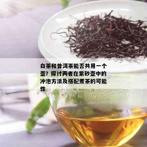 白茶和普洱茶能否共用一个壶？探讨两者在紫砂壶中的冲泡方法及搭配煮茶的可能性