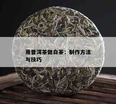 用普洱茶做白茶：制作方法与技巧