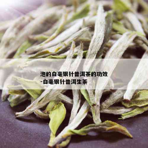 泡的白毫银针普洱茶的功效-白毫银针普洱生茶