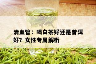 清血管：喝白茶好还是普洱好？女性专属解析