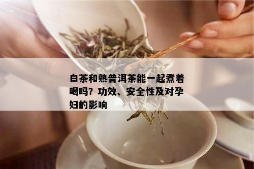 白茶和熟普洱茶能一起煮着喝吗？功效、安全性及对孕妇的影响