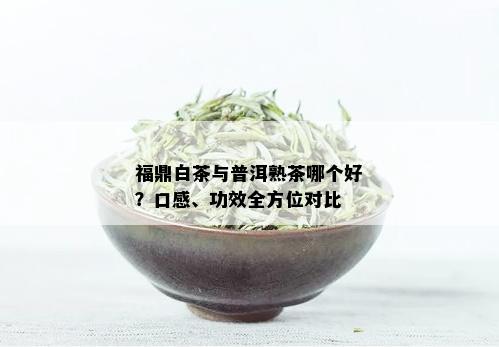 福鼎白茶与普洱熟茶哪个好？口感、功效全方位对比