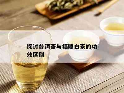 探讨普洱茶与福鼎白茶的功效区别