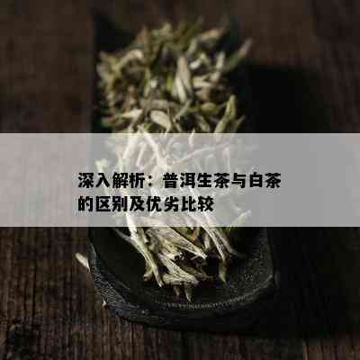 深入解析：普洱生茶与白茶的区别及优劣比较