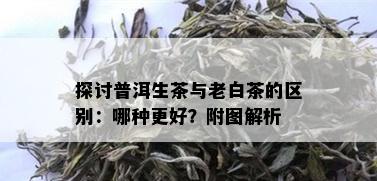 探讨普洱生茶与老白茶的区别：哪种更好？附图解析