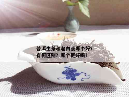 普洱生茶和老白茶哪个好？有何区别？哪个更好喝？