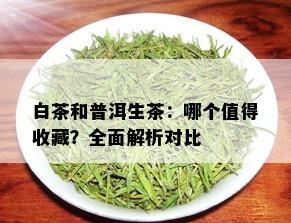 白茶和普洱生茶：哪个值得收藏？全面解析对比