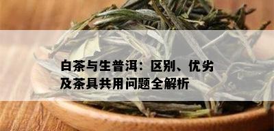 白茶与生普洱：区别、优劣及茶具共用问题全解析