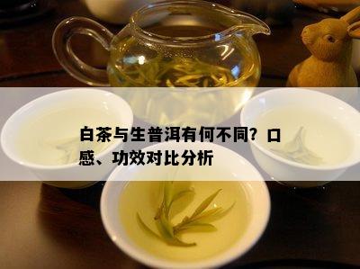 白茶与生普洱有何不同？口感、功效对比分析
