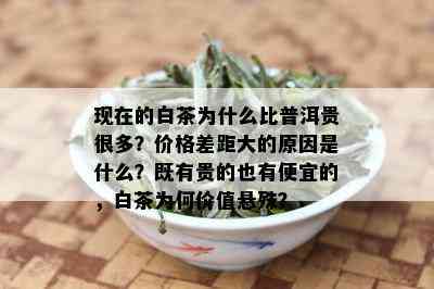 现在的白茶为什么比普洱贵很多？价格差距大的原因是什么？既有贵的也有便宜的，白茶为何价值悬殊？