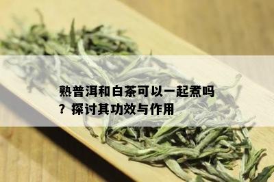 熟普洱和白茶可以一起煮吗？探讨其功效与作用