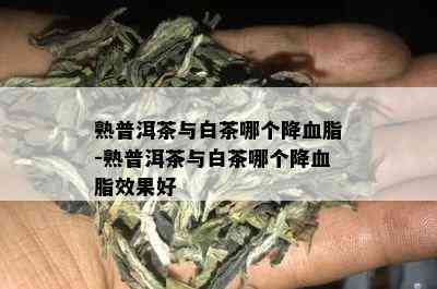 熟普洱茶与白茶哪个降血脂-熟普洱茶与白茶哪个降血脂效果好