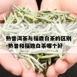 熟普洱茶与福鼎白茶的区别-熟普和福鼎白茶哪个好