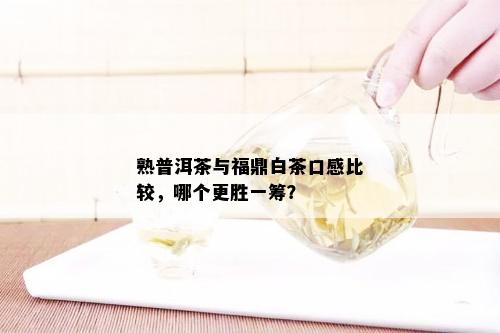 熟普洱茶与福鼎白茶口感比较，哪个更胜一筹？